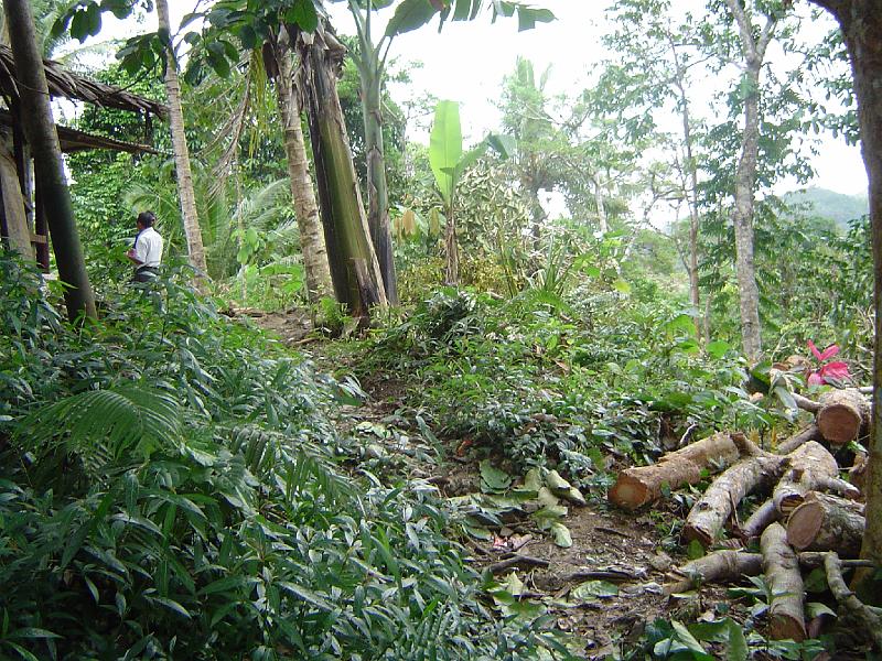 Ambon 2007 021